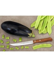 CUCHILLO ARCOS MOD.LATINA COCINA  100600 130 MM.