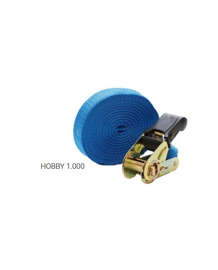 CINTA RATCHET SIN FIN 25MMX5MT 1000-5VR