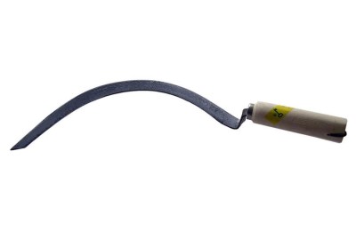 CORVILLA MANGO COMUN