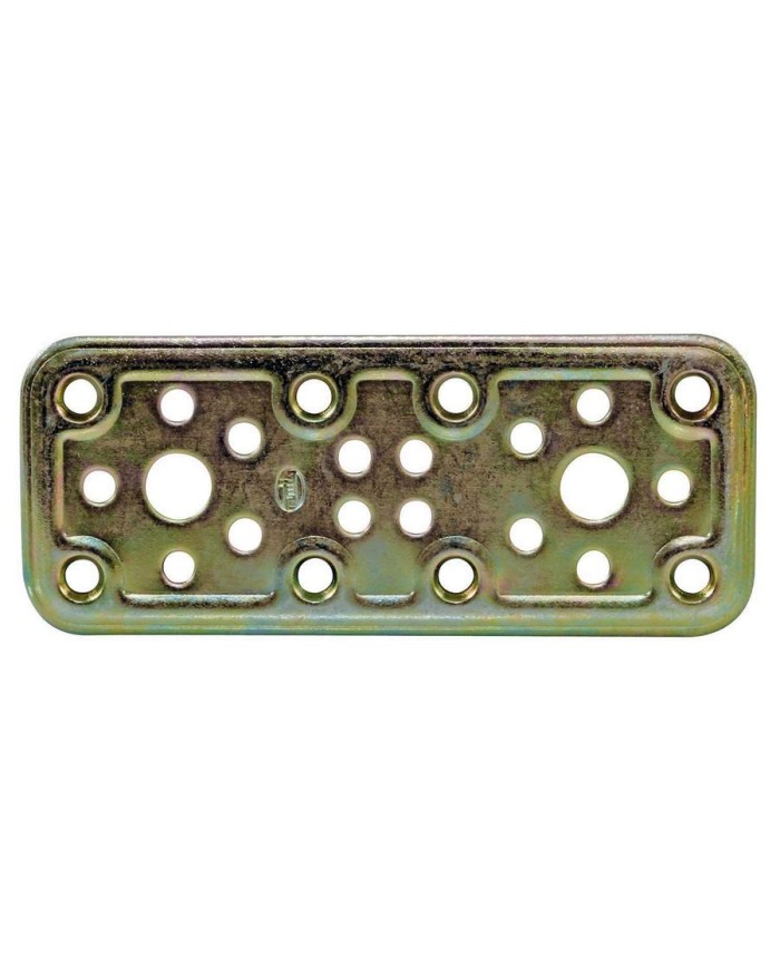 PLACA RECTA AMIG BICR.500 160X50 PERGOLA