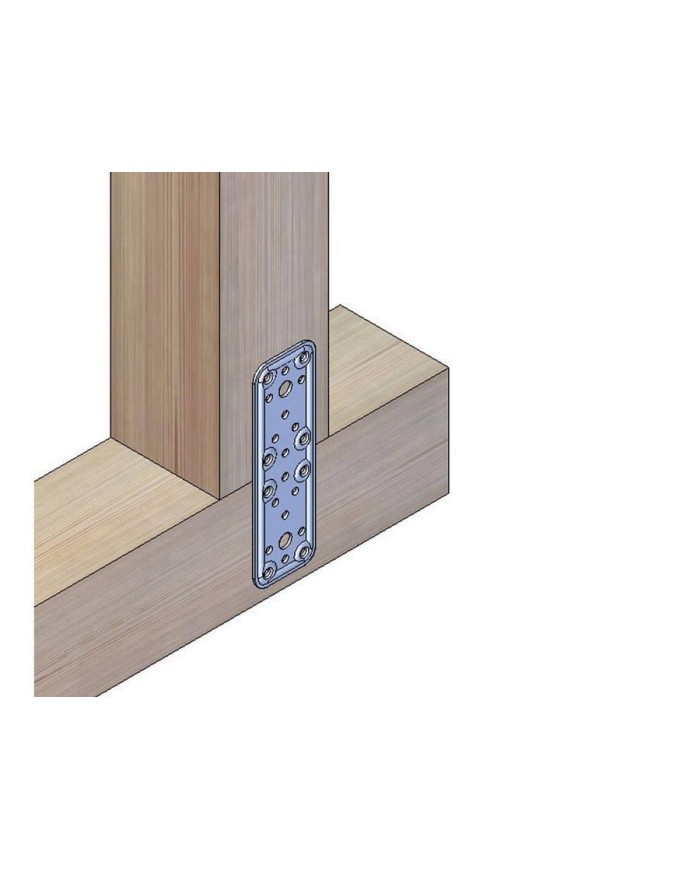 PLACA RECTA AMIG BICR.500  80X50 PERGOLA