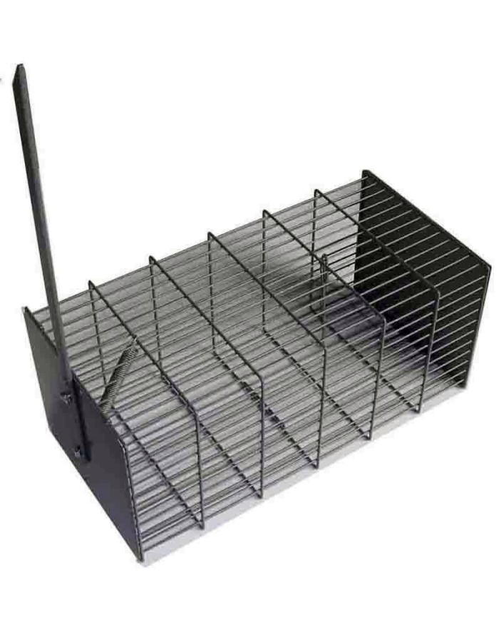 RATERA METALICA JAULA TRAMPA Nº 1