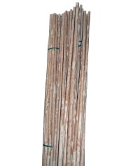 VAREADOR ACEITUNAS 12V. CON PERTIGA FIJA BAHCO