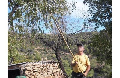 VARA DE ALMENDRA ALMES
