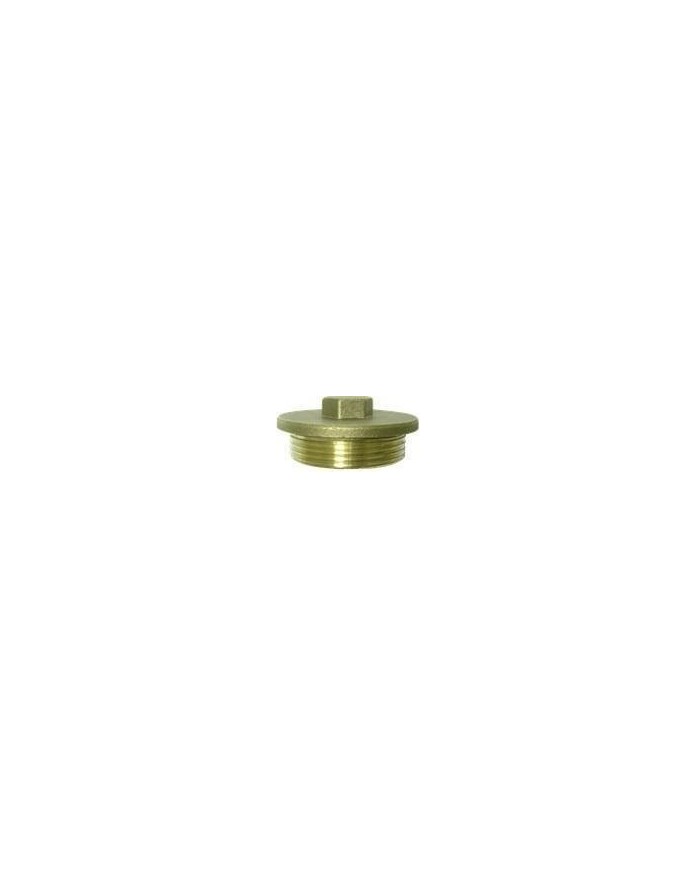 TAPON CIS ROSCA MACHO LATON 3/4