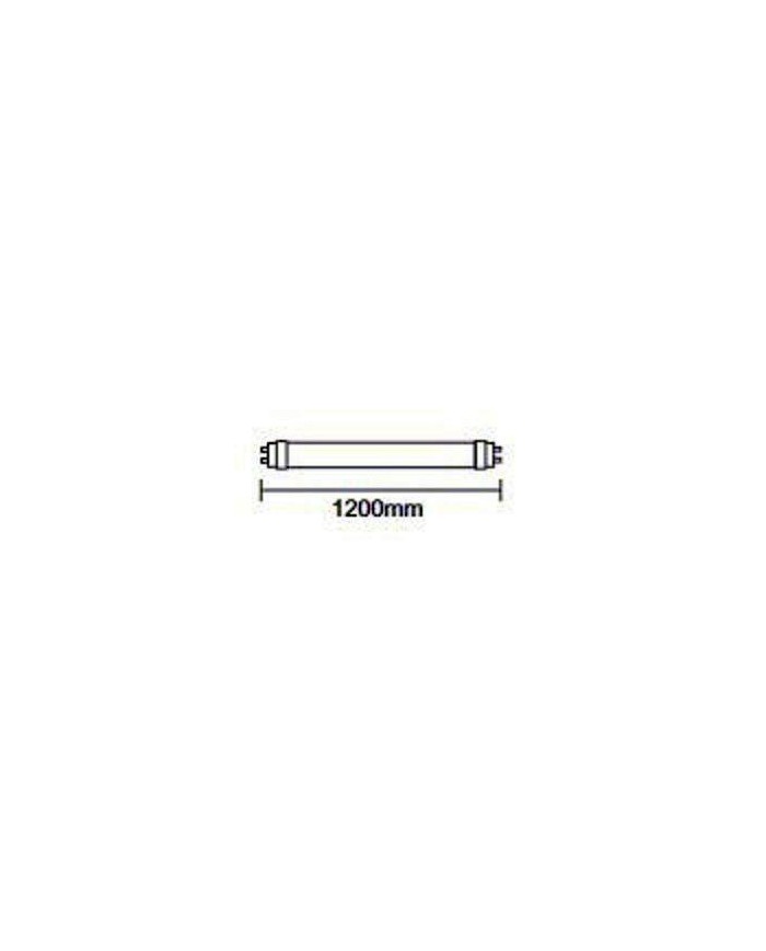 TUBO LED 18W. 6500K.120CMS. SIN CEBADOR GSC