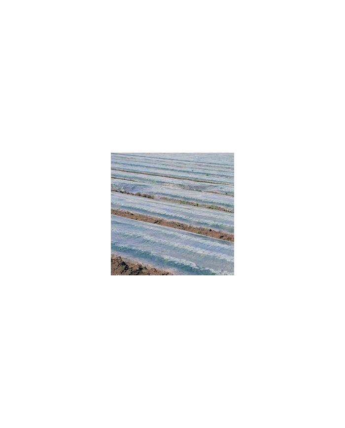 PLASTICO TRANSPARENTE 4MTS. 600G. 50KG. APRX. L/84M