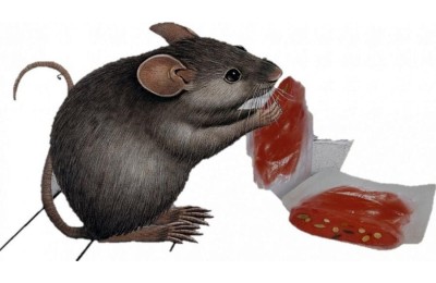 RATICIDA MASSO ROE-FRES MASSORRAT FRESH BF 29 C/150 GRS.