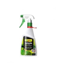ESPIRAL ENTORNO ANTI-MOSQUITOS AZMARK