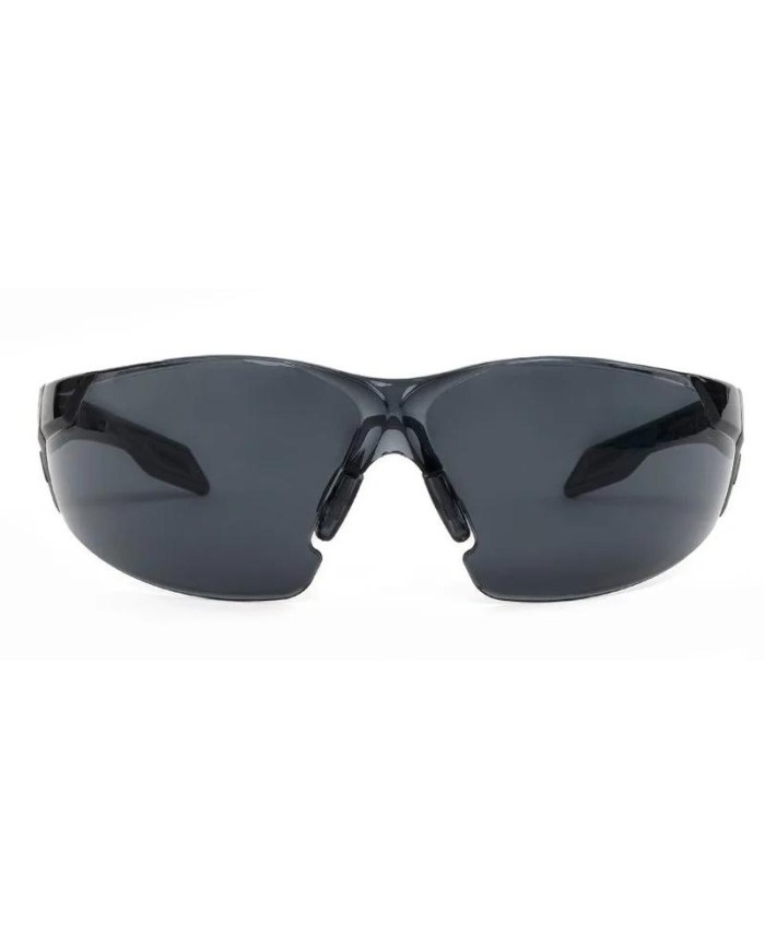 GAFAS PEGASO OMNIS 205.02 SOLAR