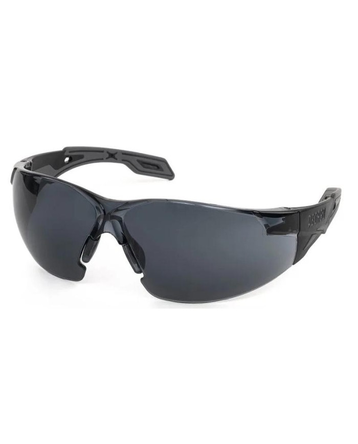 GAFAS PEGASO OMNIS 205.02 SOLAR