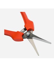 TIJERA VENDIMIA RECTA BAHCO P128-19