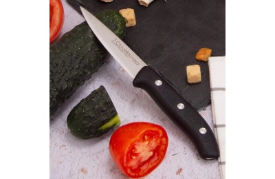 CUCHILLO VERDURAS 3 CLAV. DOMVS  9CMS.