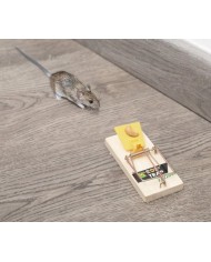 TRAMPA MADERA RATONES MASSO ROE-TRAMP 2U