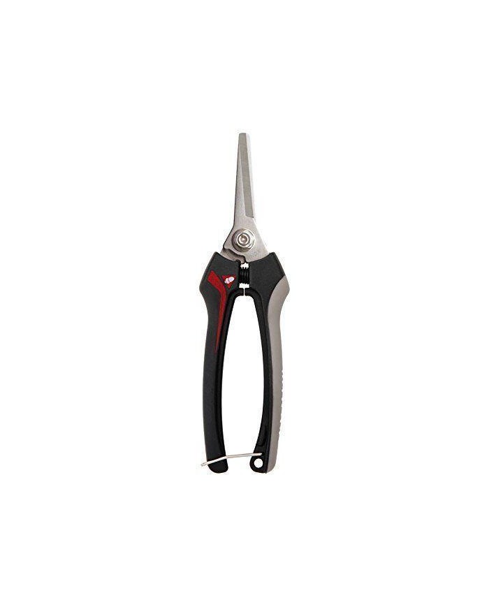 TIJERA RECOLECTAR BELLOTA 3621 INOXIDABLE
