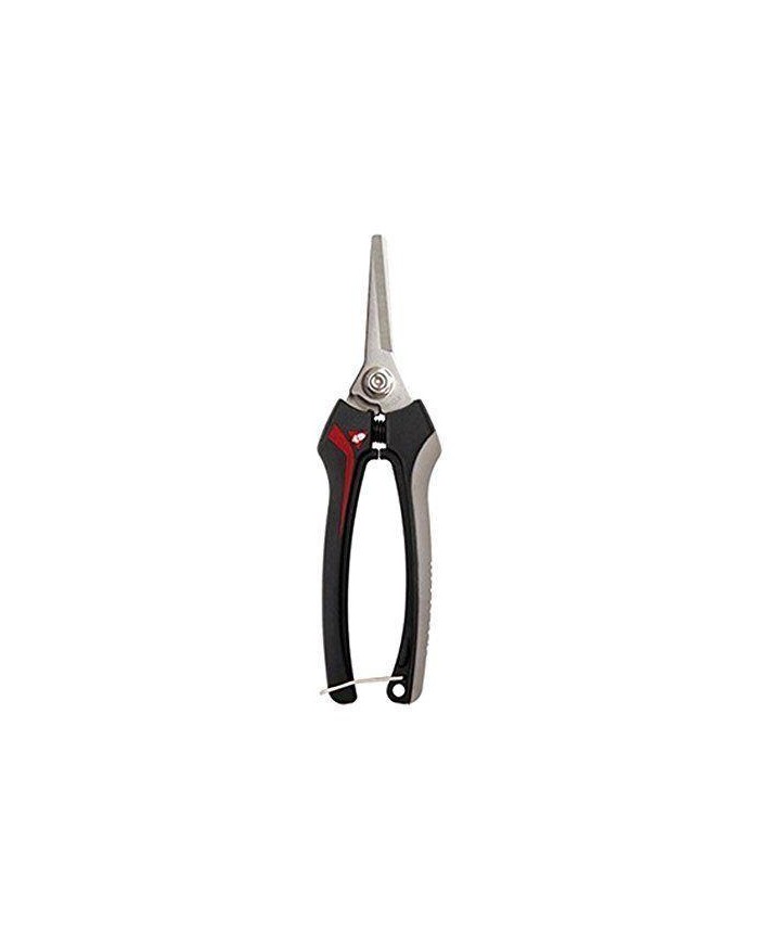 TIJERA RECOLECTAR BELLOTA 3623 INOXIDABLE