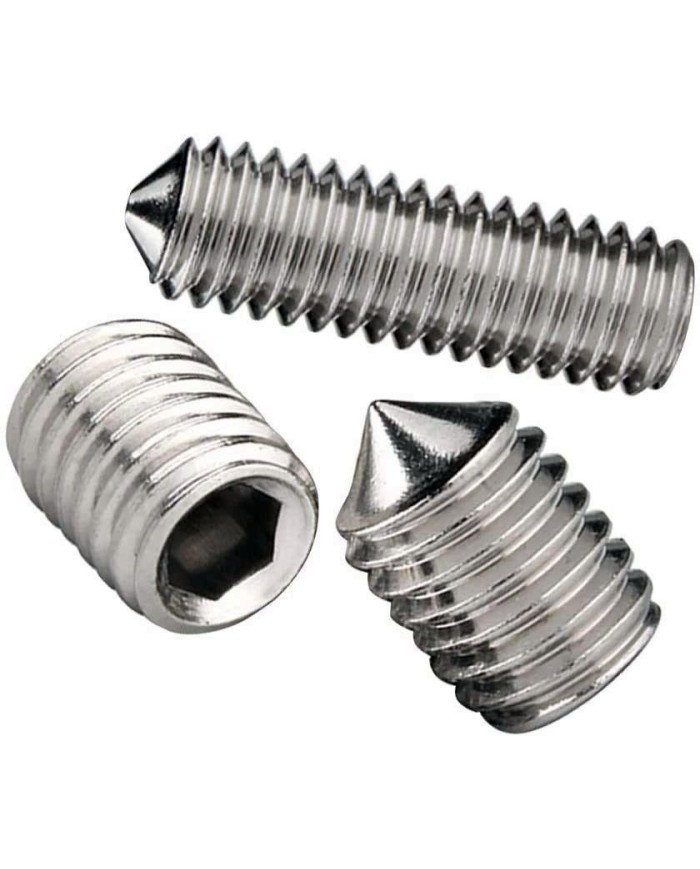 TORNILLO PRISIONERO INOXIDABLE 5X6 DAMESA