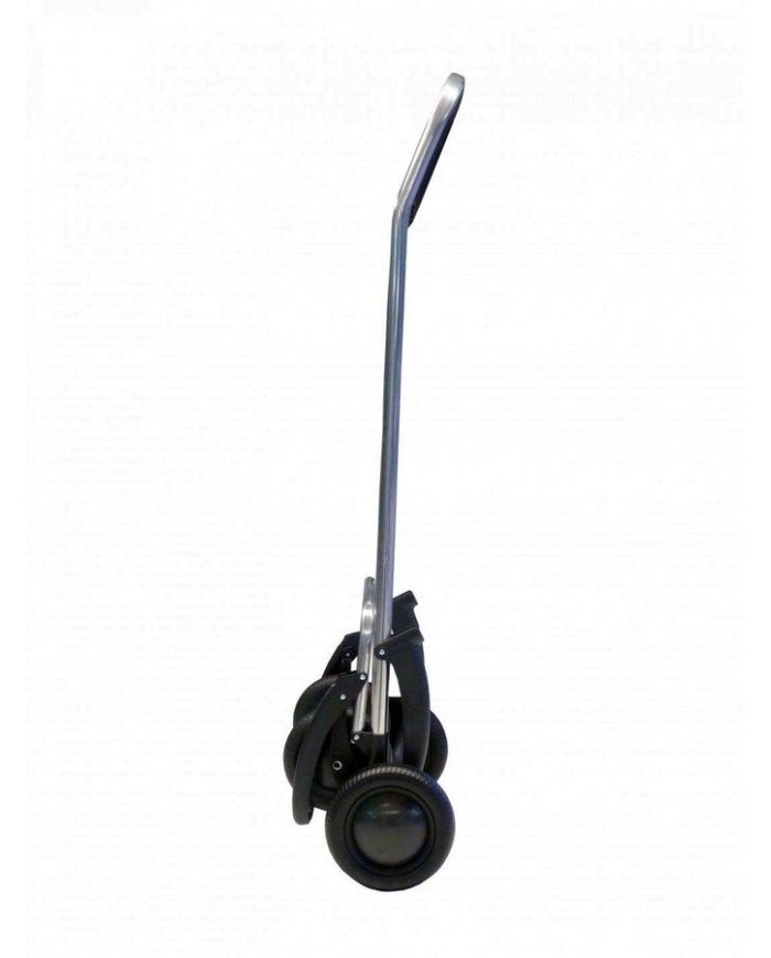 CARRO ROLSER SBELTA MF 4.2 BURDEOS