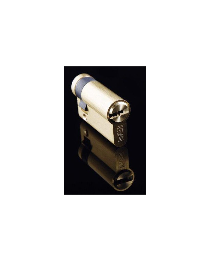 CILINDRO IFAMM F6S LATONADO SEGURIDAD 60 MM. 30X30 LEVA LARGA