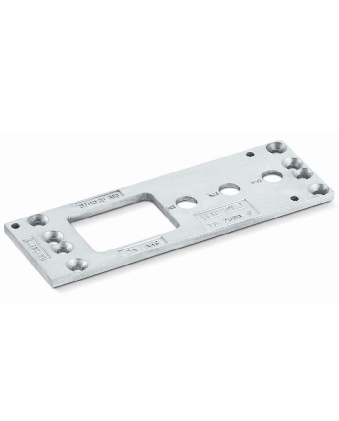 PLACA MONTAJE GEZE PARA TS 2000