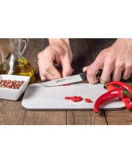 CUCHILLO ARCOS MOD.NIZA  VERDURA 135200 110 MM.