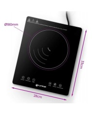 PLACA DE INDUCCION GRUNKEL 2000W.
