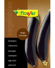SOBRE SEMILLAS FLOWER CALABACITAS ORNAMENTAL MIX