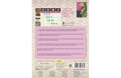 SOBRE SEMILLAS FLOWER CALABACITAS ORNAMENTAL MIX