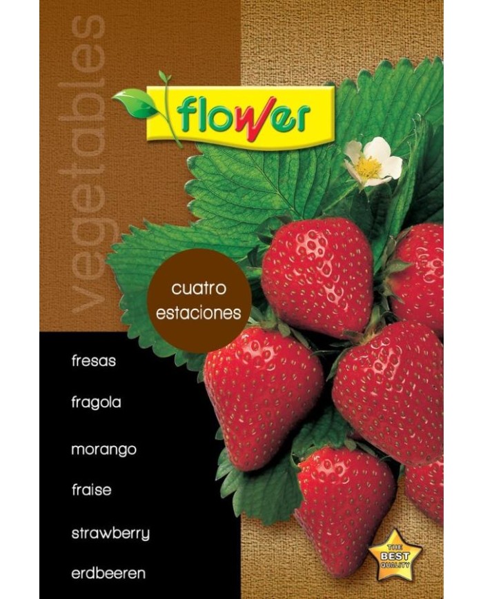 SOBRE SEMILLAS FLOWER FRESAS CUATRO ESTACIONES