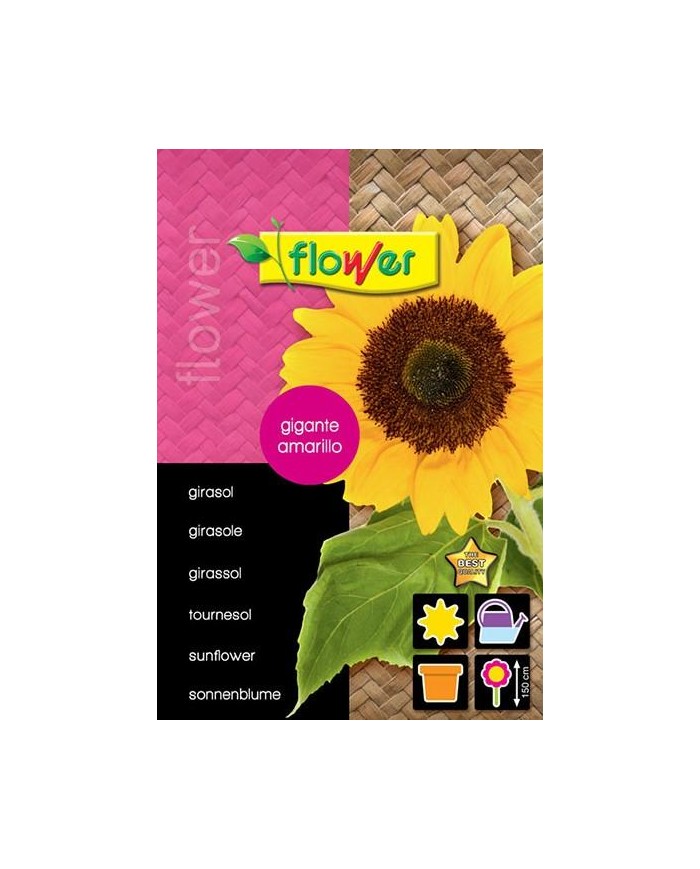 SOBRE SEMILLAS FLOWER GIRASOL GIGANTE AMARILLO