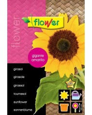 SOBRE SEMILLAS FLOWER PIMIENTO MORRON