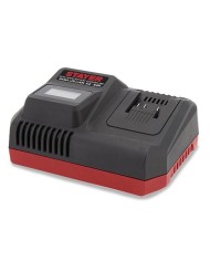 CORTASETOS/MINI MOTOSIERRA STAYER TELESCOP. 18V. L2022