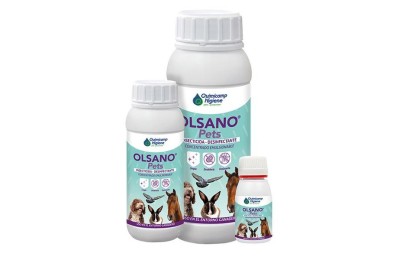 INSECTICIDA ENTORNO PERROS 500ML. OLSANO