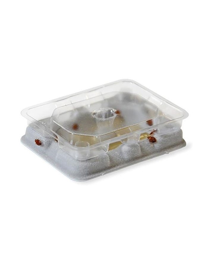TRAMPA NOVAR PARA CHINCES EASYBUG (2 UDS.)