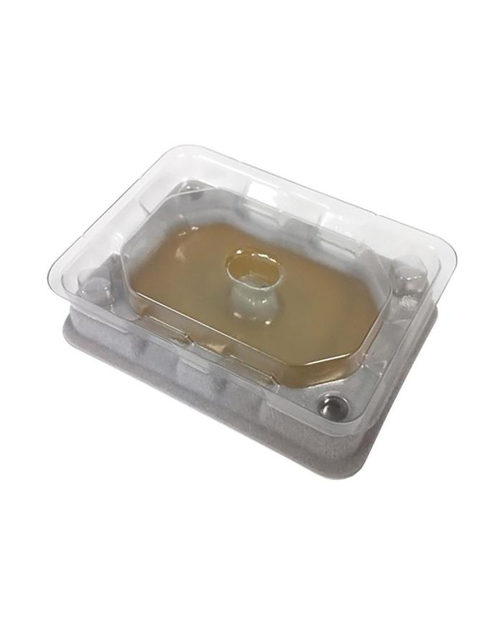 TRAMPA NOVAR PARA CHINCES EASYBUG (2 UDS.)