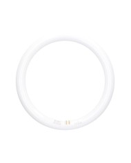 TUBO LED 20W. 6500K. 30CMS. CON CEBADOR GSC